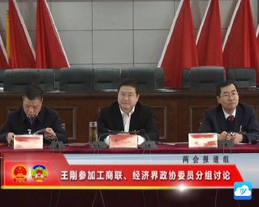 王刚参加工商联、经济界政协委员分组讨论