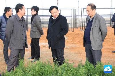 胡长春督办陈贵镇“四化同步”和高标准农田建设工作