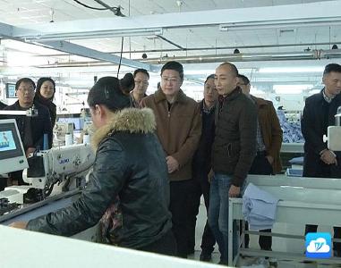 王刚赴灵乡镇金牛镇调研经济社会发展情况