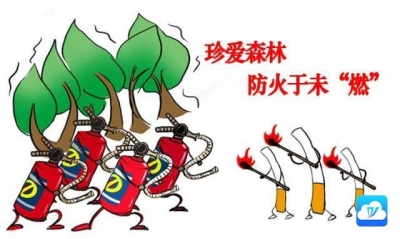 陈贵镇  超额完成森林防火带砍割任务