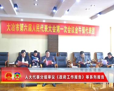 人大代表分组审议《政府工作报告》等系列报告