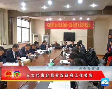 人大代表分组审议政府工作报告