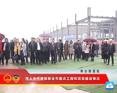 人大代表视察全市重点工程和项目建设情况
