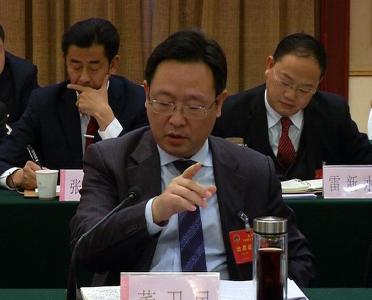 黄石市市长董卫民参加大冶代表团审议