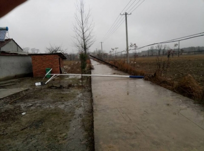 扶不起的路灯 相关部门：将会尽快处理
