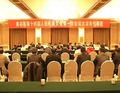 大冶人大代表团代表参加“如何当好人大代表”专题培训