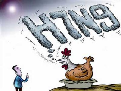 加强H7N9流感等野生动物疫源疫病监测防控工作