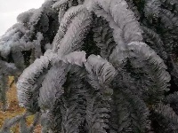 大冶登山爱好者赏七峰山雪景