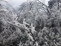 大冶登山爱好者赏七峰山雪景