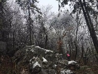 大冶登山爱好者赏七峰山雪景