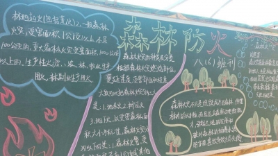 金牛镇胜利小学春季森林防火进校园