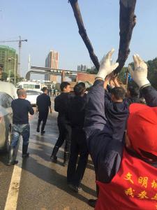 我市从2月27日至3月16日进行环境整治