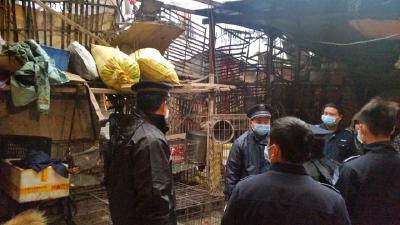 我市全面禁止活禽上市