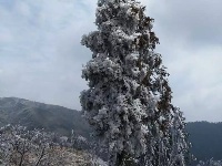 大冶登山爱好者赏七峰山雪景