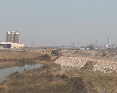 李修武、王刚调研金湖生态园建设工作