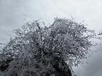 大冶登山爱好者赏七峰山雪景