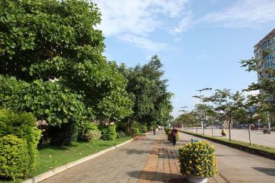 东风路成我市公益广告示范一条街