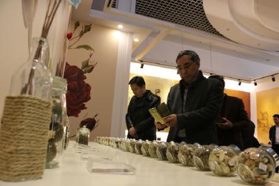 省评审专家组来冶评审《湖北省大冶市省级森林城市建设总体规划》举全市之力全面推进创森工作