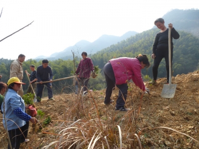 灵乡：早春植树造林掀热潮