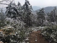 大冶登山爱好者赏七峰山雪景