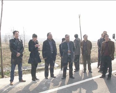 《湖北省大冶市省级森林城市建设总体规划》获审通过