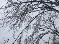 大冶登山爱好者赏七峰山雪景