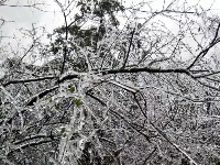 大冶登山爱好者赏七峰山雪景