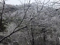 大冶登山爱好者赏七峰山雪景