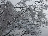 大冶登山爱好者赏七峰山雪景