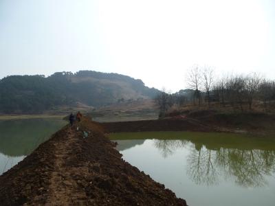 茗山小洪余水库遭非法围堰