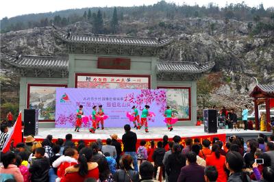 大冶第二届殷祖北山头樱花节美丽开幕  一万多游客盛称：“樱”为你开，北山头“步”一样