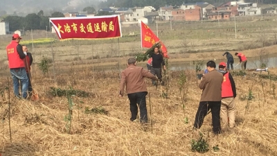 市交通运输局志愿者上荒山植树