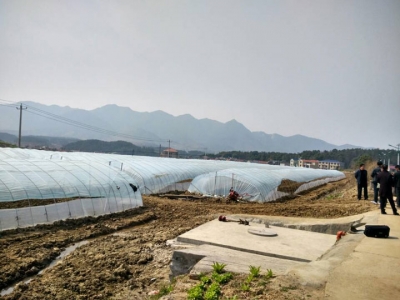 刘仁八：全力抓好项目建设