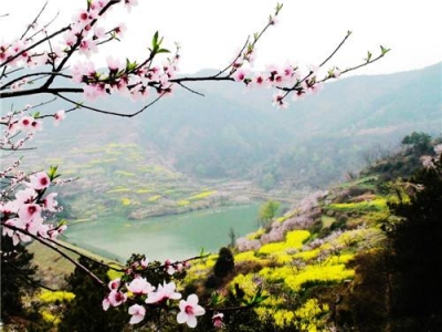 李修武到保安检察指导乡村旅游工作