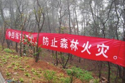 强化野外火源管控杜绝发生森林火灾