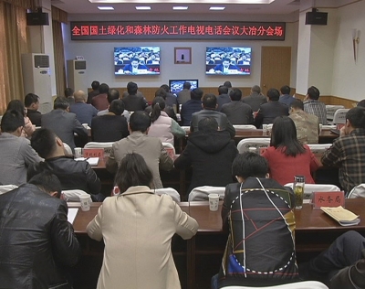 我市集中收听收看全国国土绿化和森林防火工作电视电话会议
