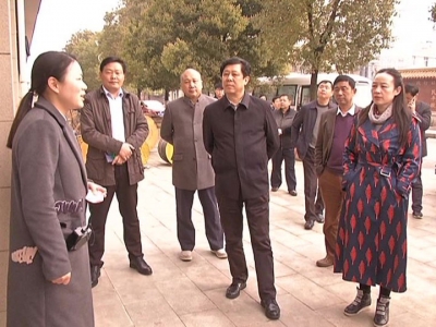 市人大常委会视察全市基层群众文化建设工作