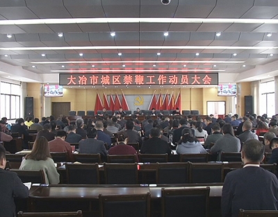 王刚出席全市城区禁鞭工作动员大会