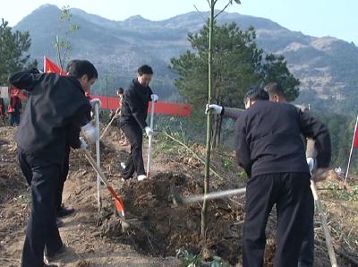 李修武强调：高标准、高质量完成创建省级森林城市目标任务 