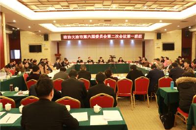 李修武参加陈贵镇代表团审议和政协第一联组讨论