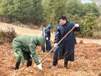 市质监局到金山店镇仕秦村开展植树活动