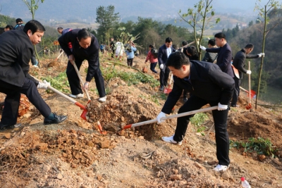 播撒绿色 种下希望--市”四大家”领导班子以及其他领导干部参加植树活动