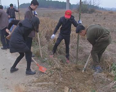 汪涛参加植树造林活动