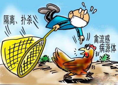 金牛镇 多措并举防控禽流感疫情