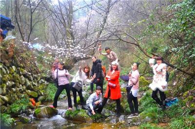 大冶刘仁八镇发现数千亩野生樱花 “今年看樱花，必须来大冶刘仁八” 网友称：亮瞎眼球，让人窒息，美呆了！靓毙了！