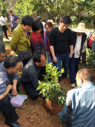 “授残以鱼”不如“授家以渔”     大冶还地桥助残扶残工作向家庭成员转型推进