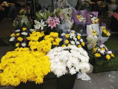 鲜花祭祖、种树绿化、微信祭扫、网上祭祖 “蜕变”后的清明祭祖