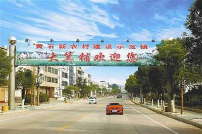 大箕铺镇 召开专题培训会