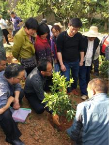 还地桥镇 多举措助残扶残