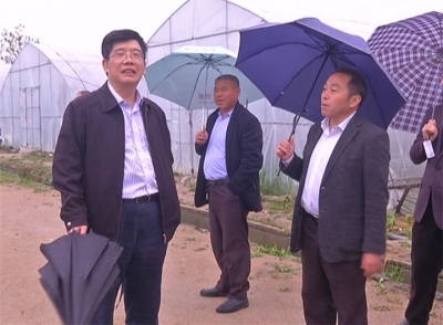 黄石市人大常委会党组书记、副主任罗光辉来我市走访联系人大代表